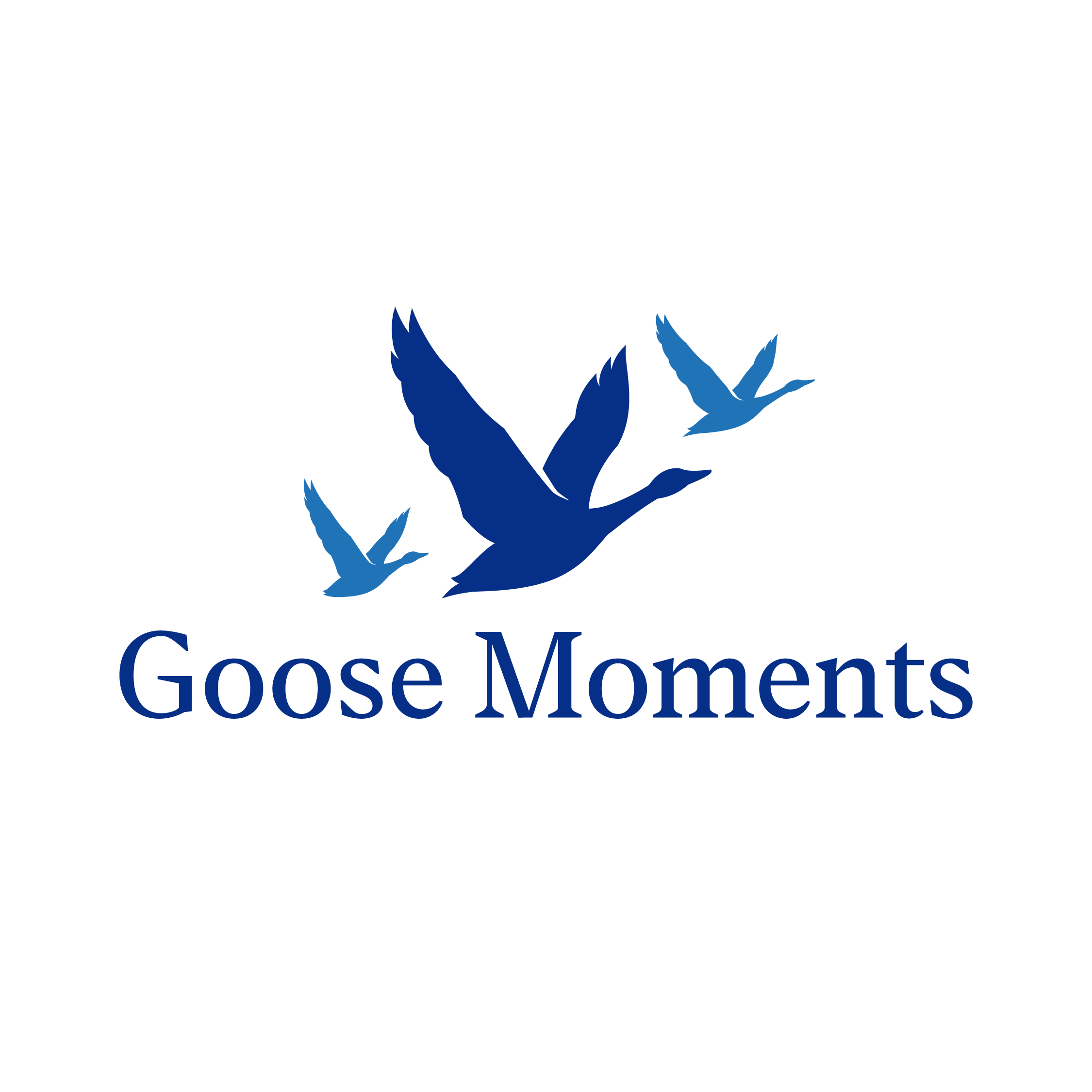 goose moments